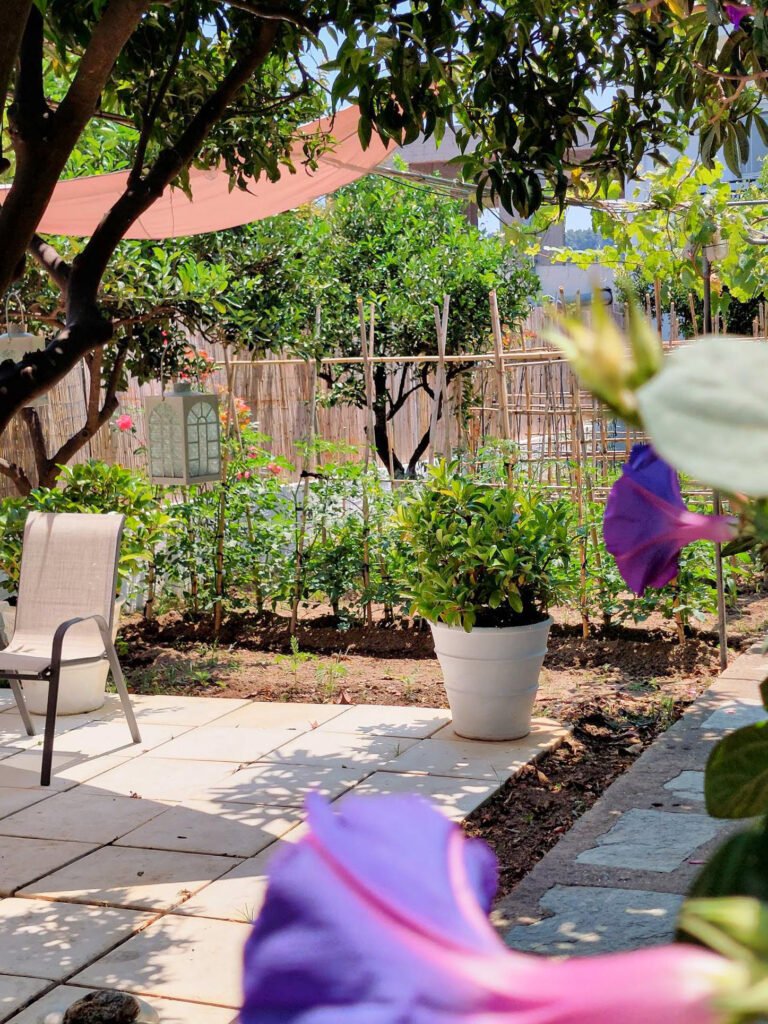 Stay at En Plo, within minutes to Skiathos Town and Airport. Our property in Skiathos features a one-bedroom house with a garden view and a loft suite with a sea view. Book directly for 10% off!